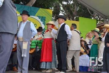 Folclore, artesanía, zumba y fotografía se dan la mano en Los Llanos (Foto Francisco Javier Santana y TA)